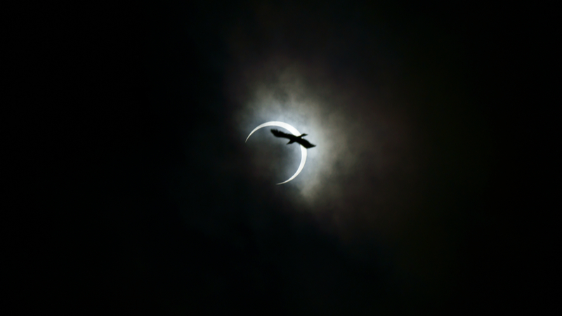 Illustration for article titled Japan Shows the Beauty (and the Craziness) of the Solar Eclipse